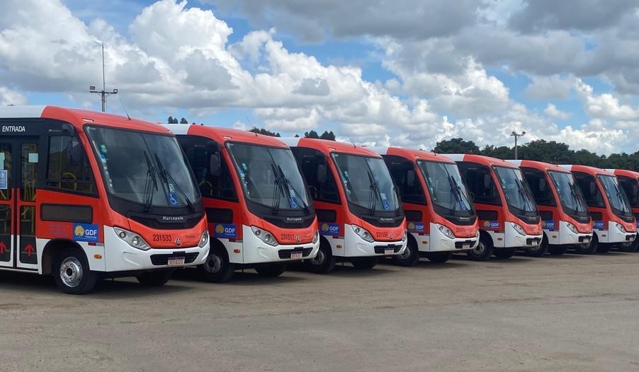 “Zebrinha” reforça transporte público no Setor Noroeste