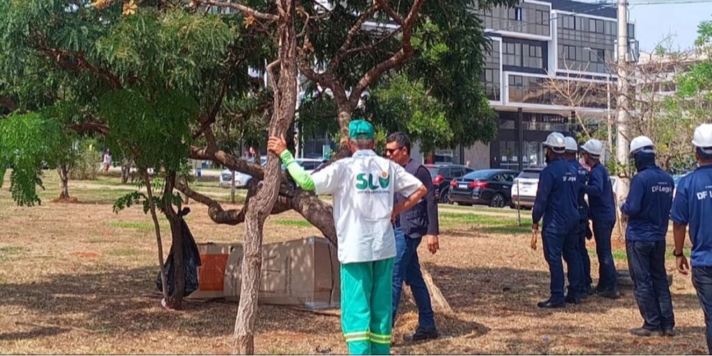 PMDF e DF Legal realizam operação social no Noroeste para reorganizar áreas públicas