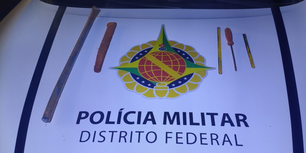 Homem é detido pela PMDF duas vezes em menos de uma semana por tentar furtar cabos no Parque Burle Marx
