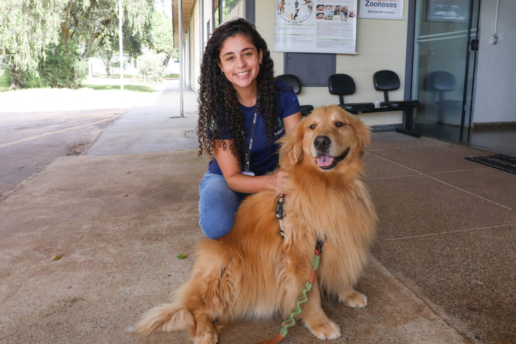 Quer adotar? 13 cães esperam por um lar na Zoonoses do DF